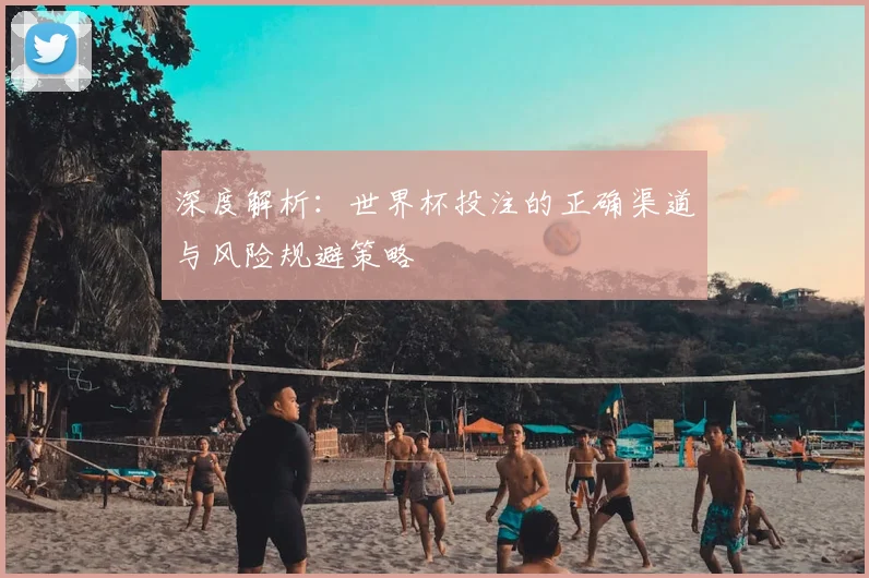 深度解析：世界杯投注的正确渠道与风险规避策略