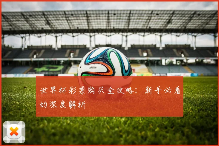 世界杯彩票购买全攻略：新手必看的深度解析