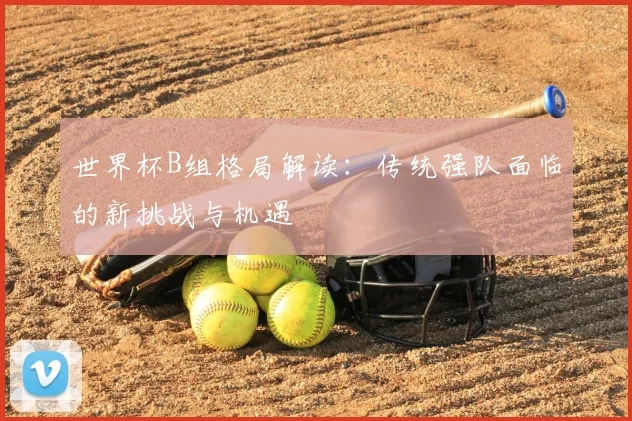 世界杯B组格局解读：传统强队面临的新挑战与机遇