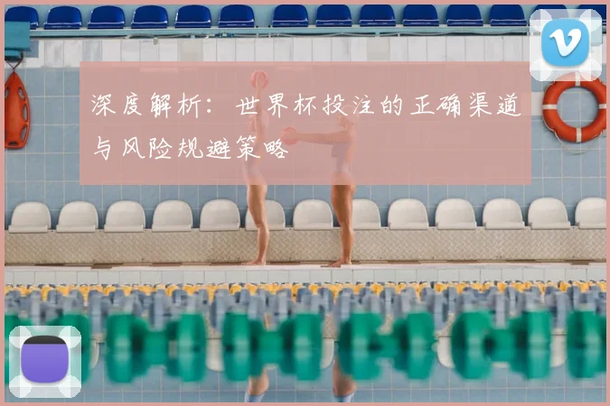 深度解析：世界杯投注的正确渠道与风险规避策略
