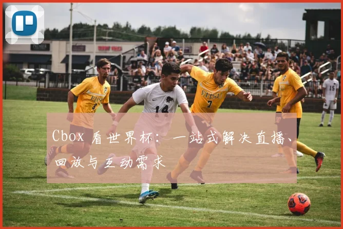 Cbox 看世界杯：一站式解决直播、回放与互动需求
