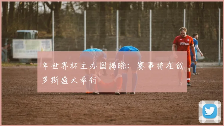 年世界杯主办国揭晓：赛事将在俄罗斯盛大举行
