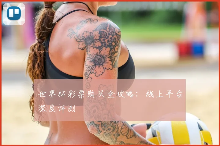 世界杯彩票购买全攻略：线上平台深度评测