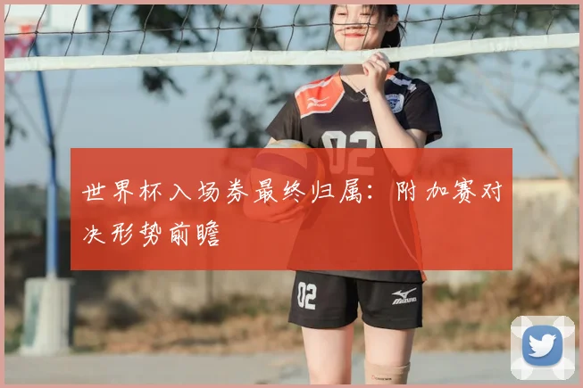 世界杯入场券最终归属：附加赛对决形势前瞻